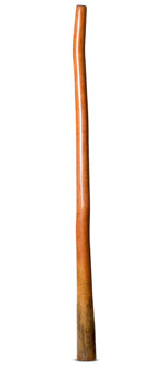 CrookedStixz Didgeridoo (AH394)